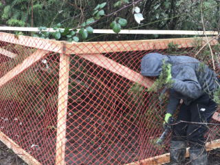 Land clearing
